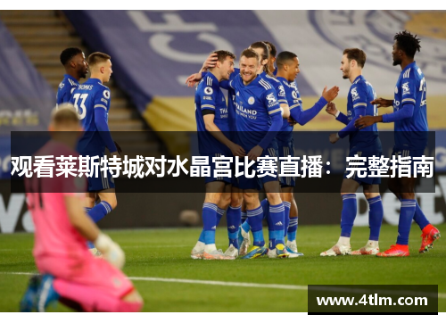 观看莱斯特城对水晶宫比赛直播：完整指南